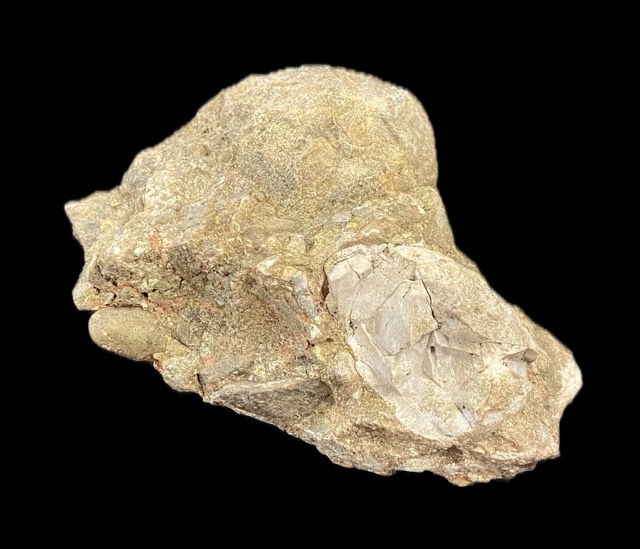 Mendener Konglomeratgestein